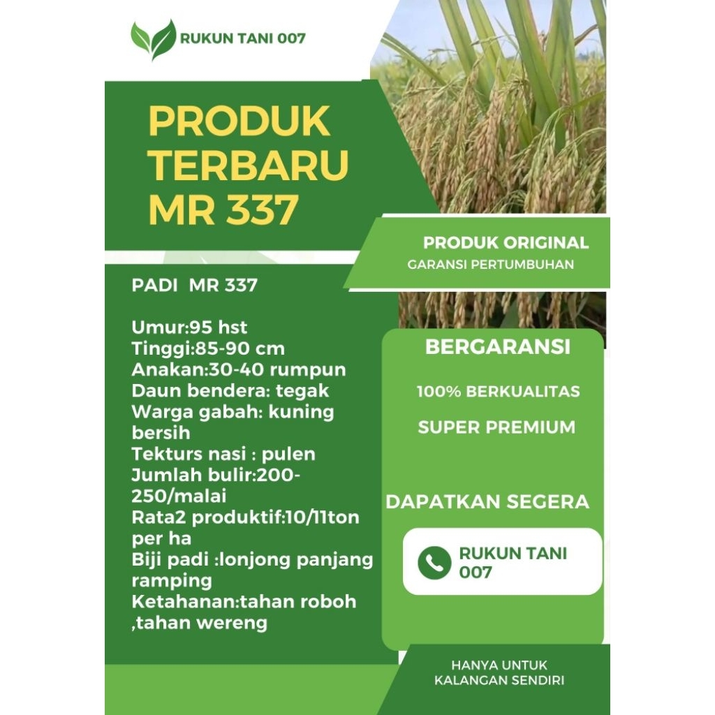 Bibit Benih Padi MR 337 Original Kemasan 5 Kg