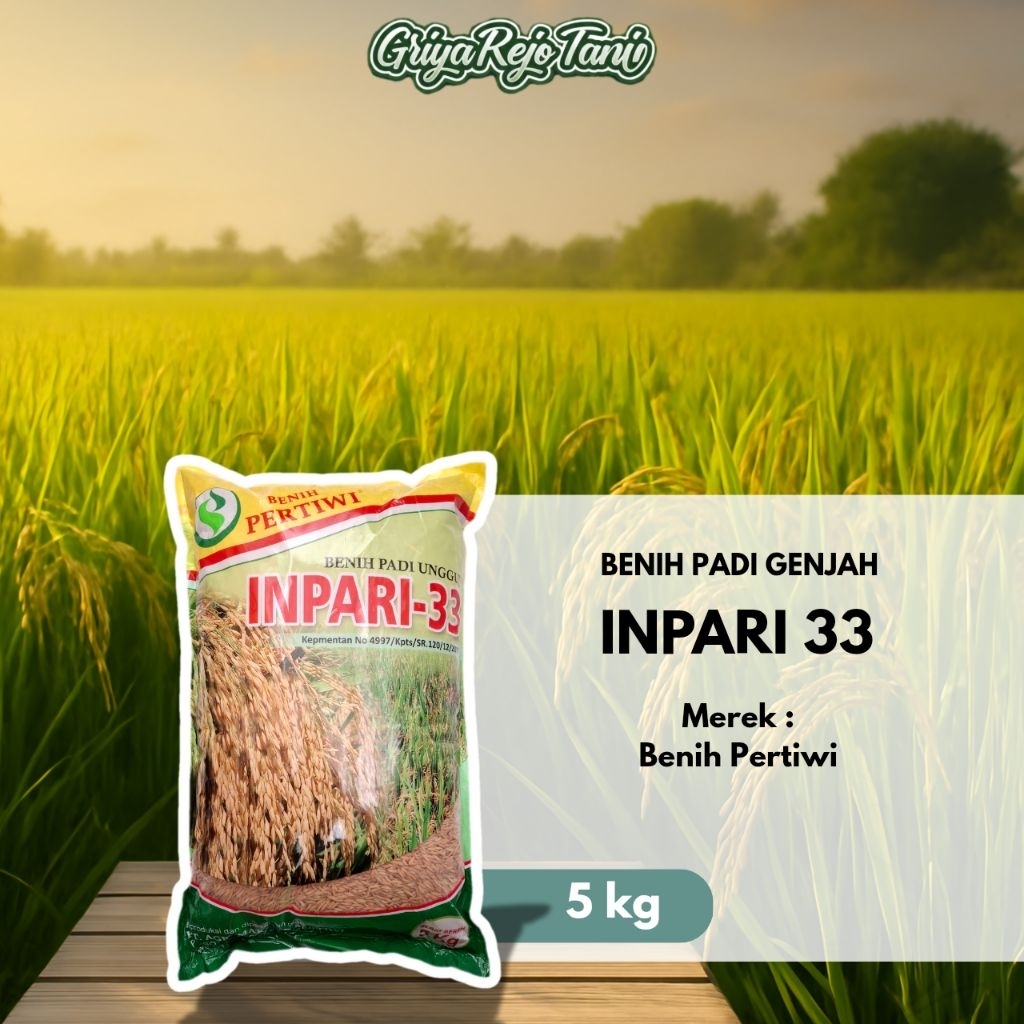 BENIH PADI PERTIWI INPARI 33 5kg UMUR PENDEK