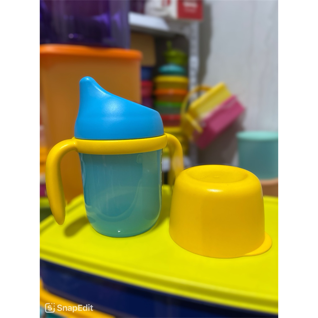 twinkle sippy cup gelas edukasi tupperware