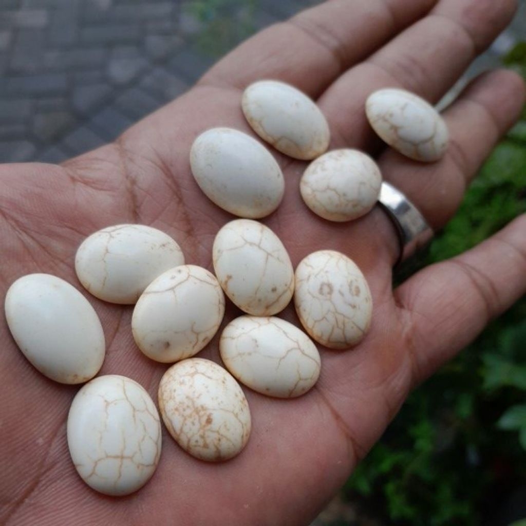 batu akik pirus putih natural howlite 20x15 mm