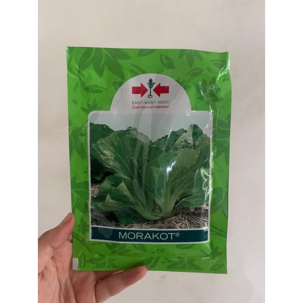 Benih Sawi Pahit MORAKOT 20 gram Cap Panah Merah