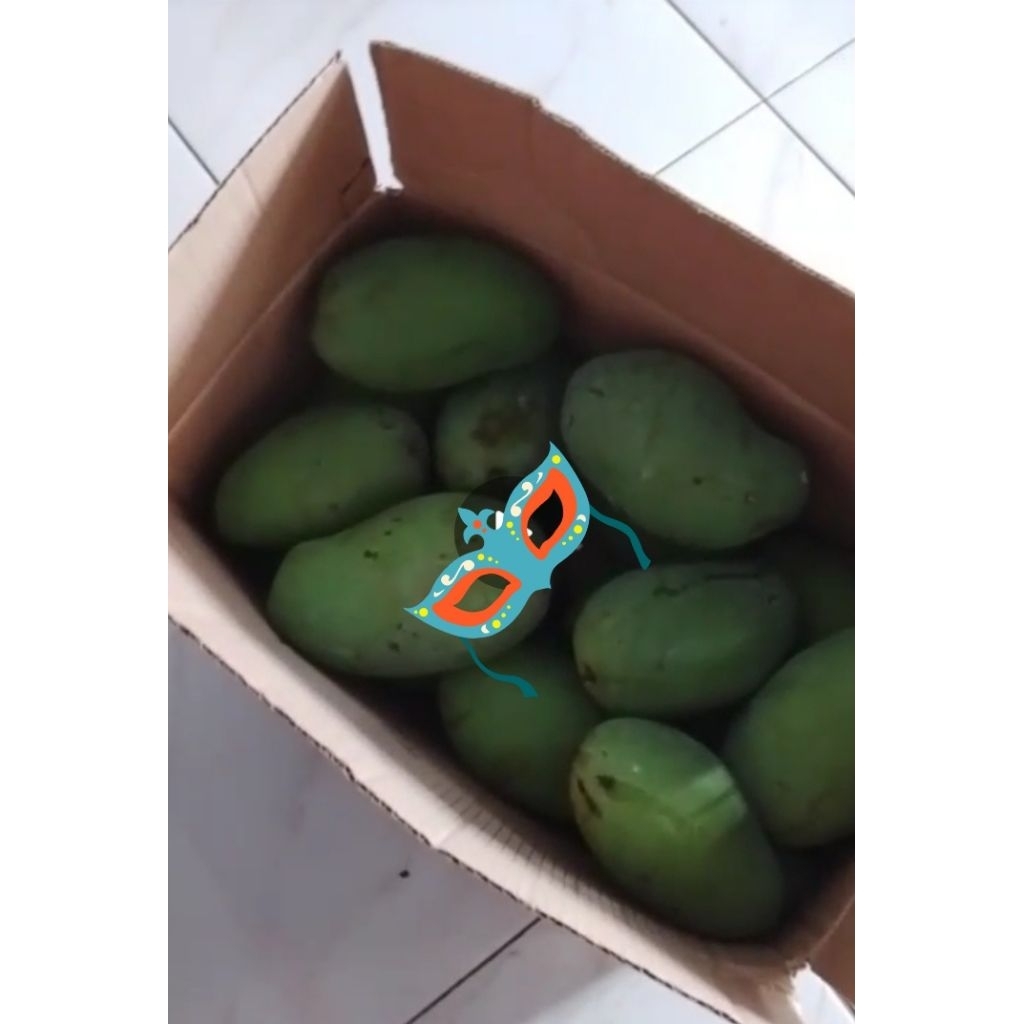 mangga gadung 1kg