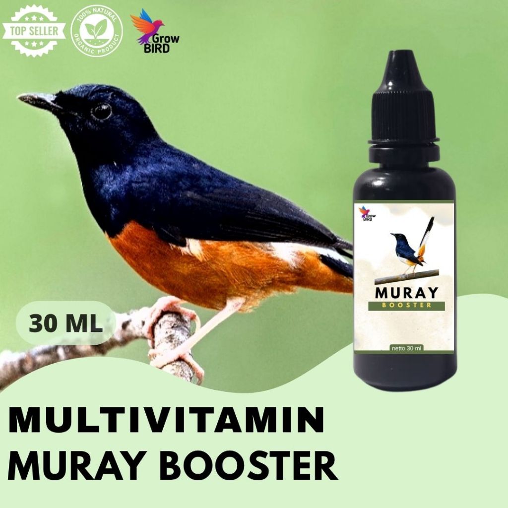 Vitamin Burung Murai Gacor 30 ml Untuk Muray Vitamin Penggacor Burung Rekomendasi Burung Kicau