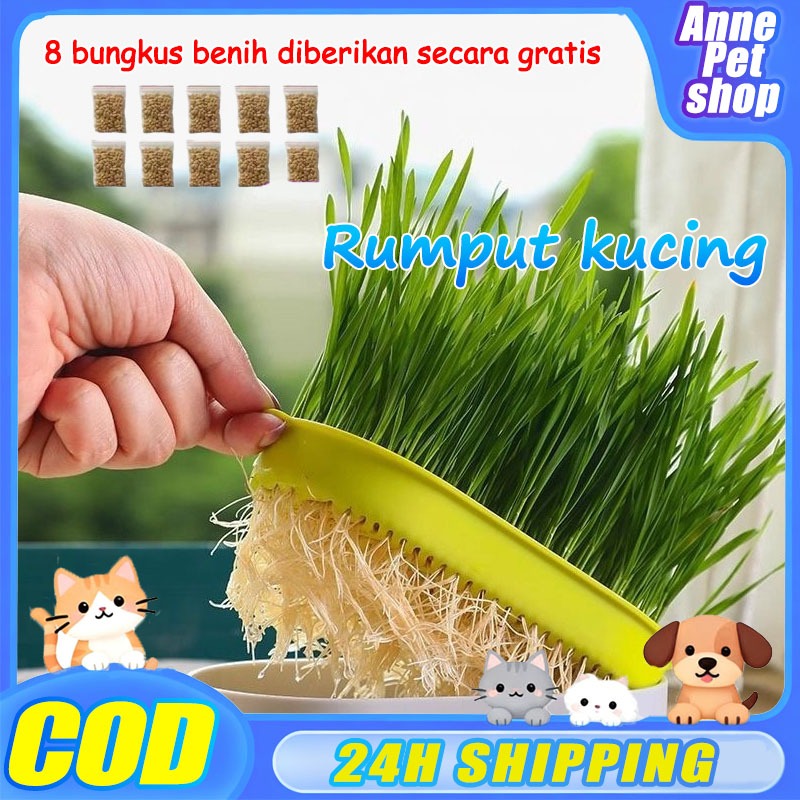 Kit Penanaman Benih Rumput Kucing Rumput Gandum Kualitas Tinggi Rumput Kucing Dilengkapi dengan 8 Pa