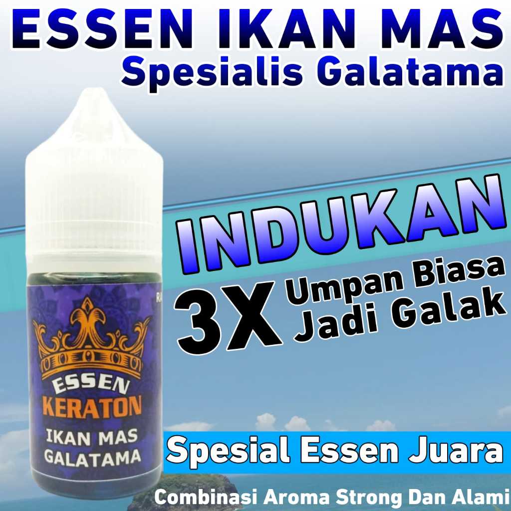 Essen Ikan Mas Lomba Galatama Galapung Indukan Babon, Essen Ikan Mas Indukan Babon, Essen Ikan Mas G