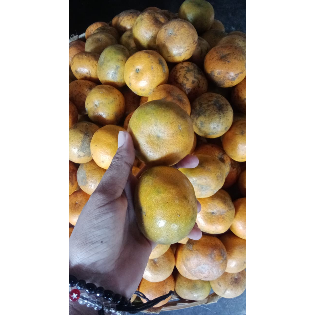 Jeruk Bali Segar PASAR INDUK INSTAN 500g - Pasar Kuta