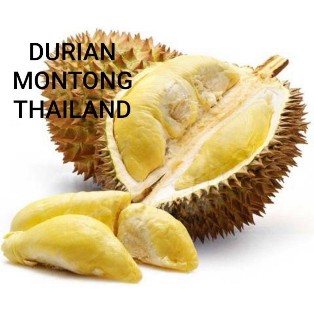 BUAH DURIAN MONTONG THAILAND BULAT  UTUH FRESH