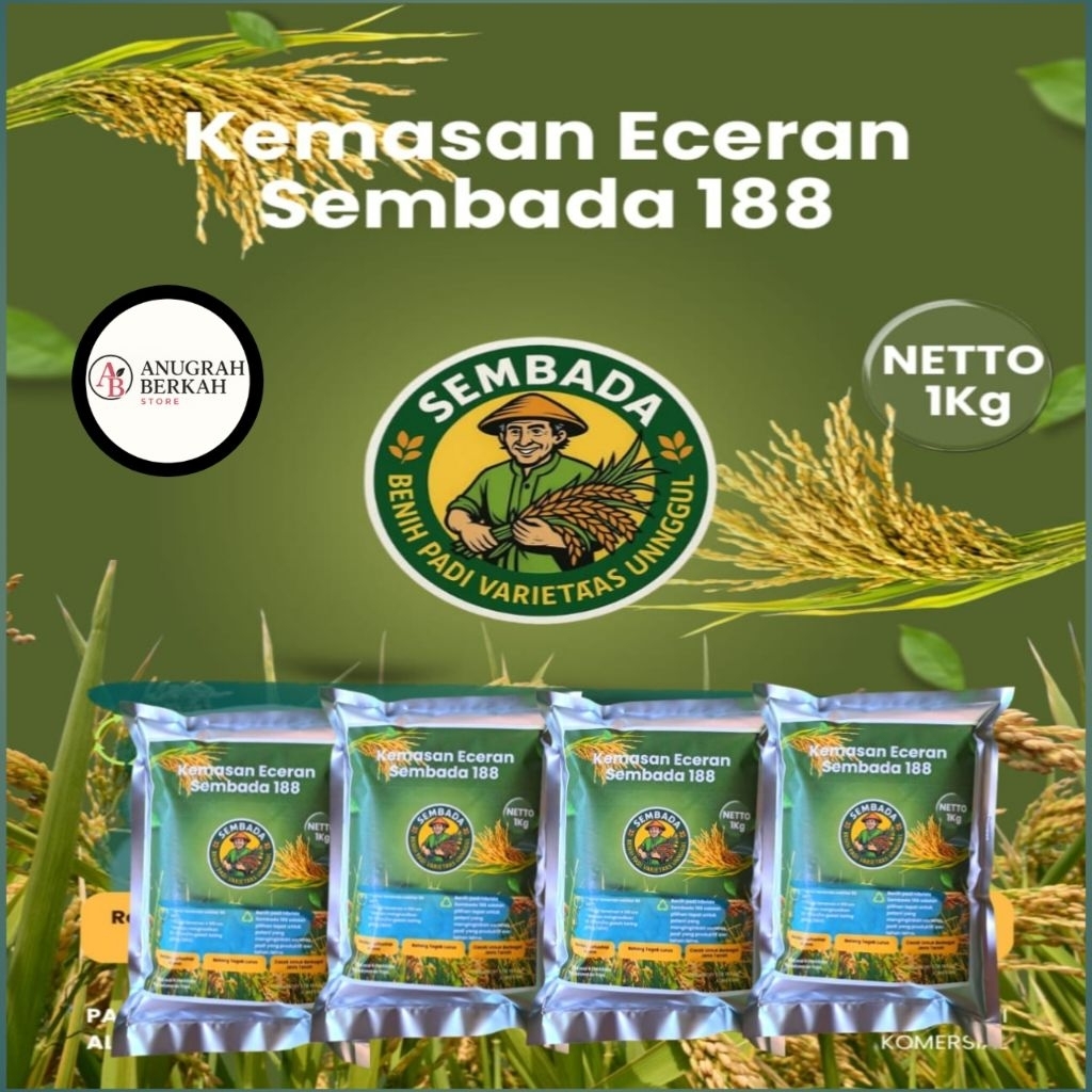 (1KG) BENIH BIBIT PADI UNGGUL HIBRIDA SEMBADA 188 BERKUALITAS