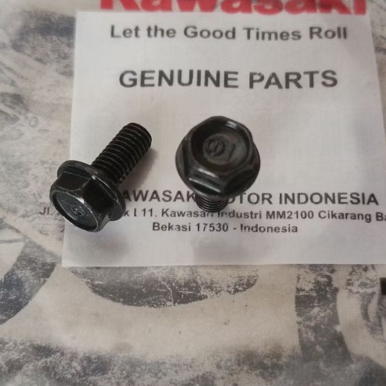 BOLT FLANGED 6X14 DUDUKAN SPIDOMETER NINJA RR