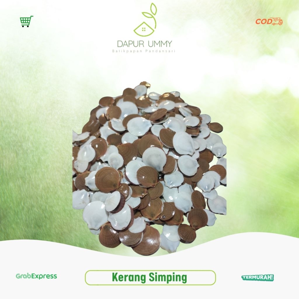 KERANG SIMPING • Kerang Simping 1kg