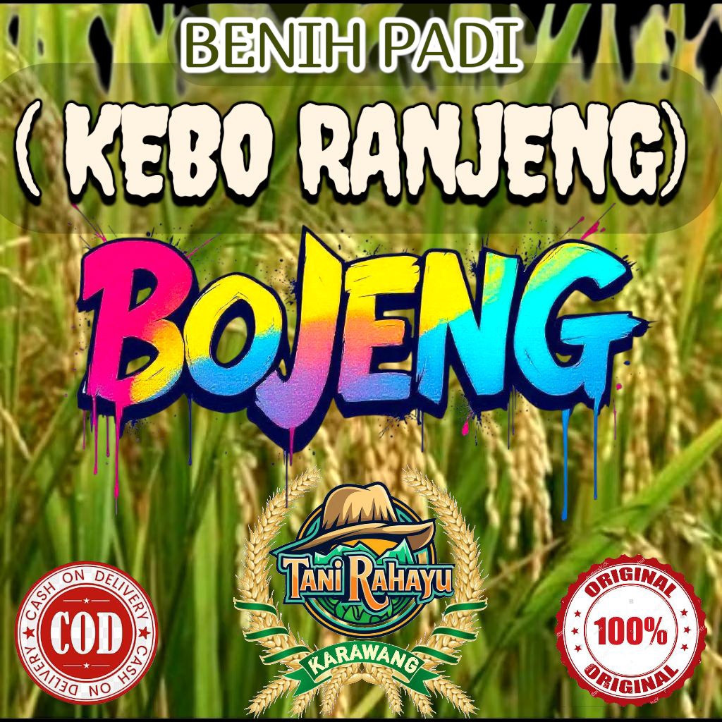 BENIH PADI ( Kebo ranjeng ) BOJENG BERKUALITAS ORIGINAL KEMASAN 1KG