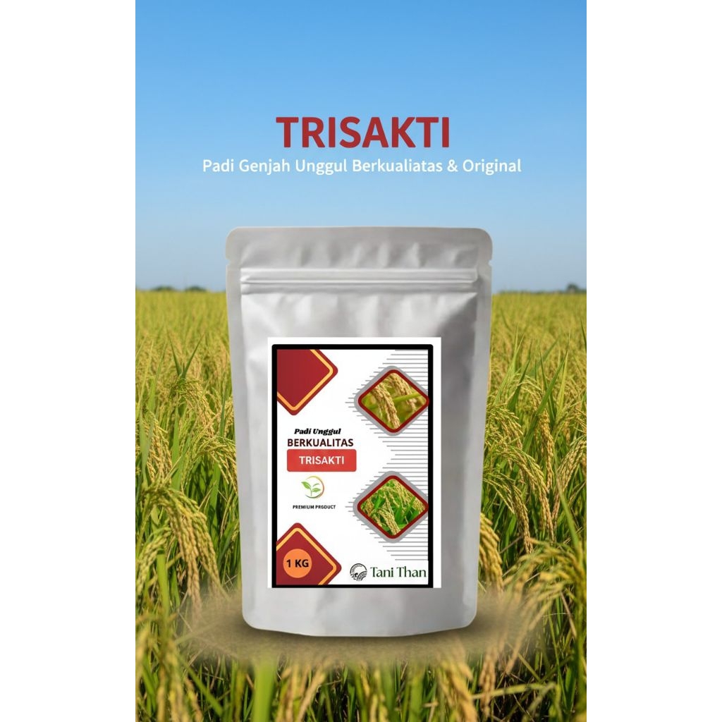 benih padi unggul trisakti 1kg