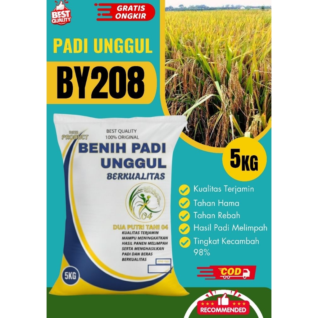 Benih padi unggul BY 208 kemasan 5Kg