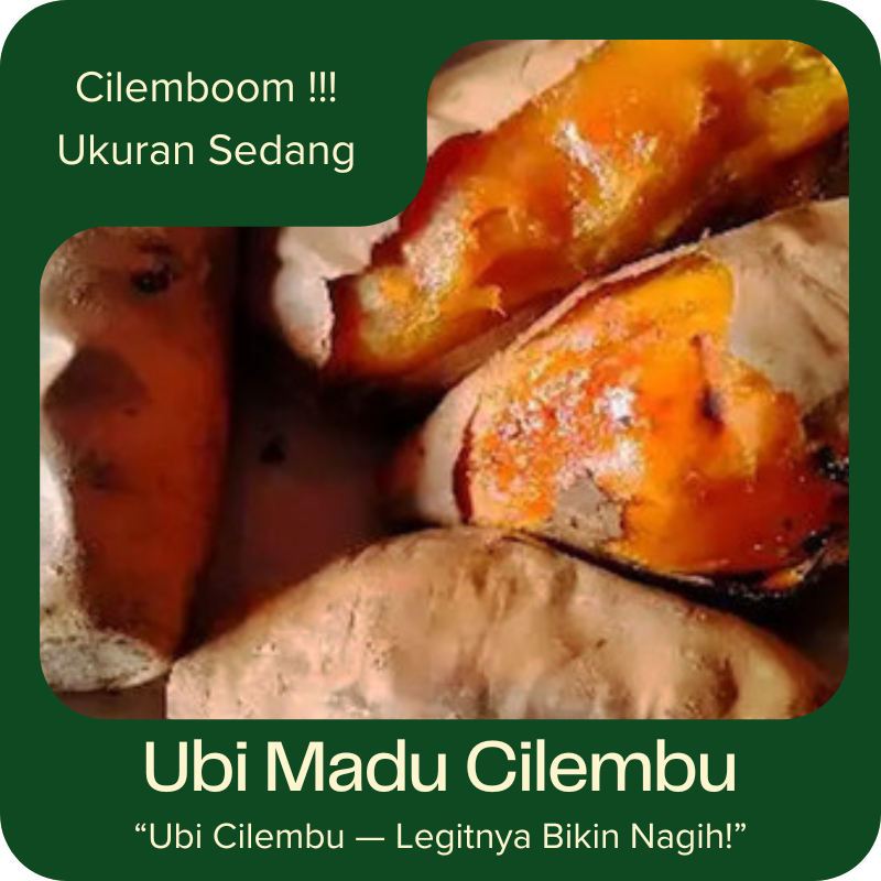 Khusus Instant Area Bandung Ubi Madu Cilembu Matang Ukuran Sedang