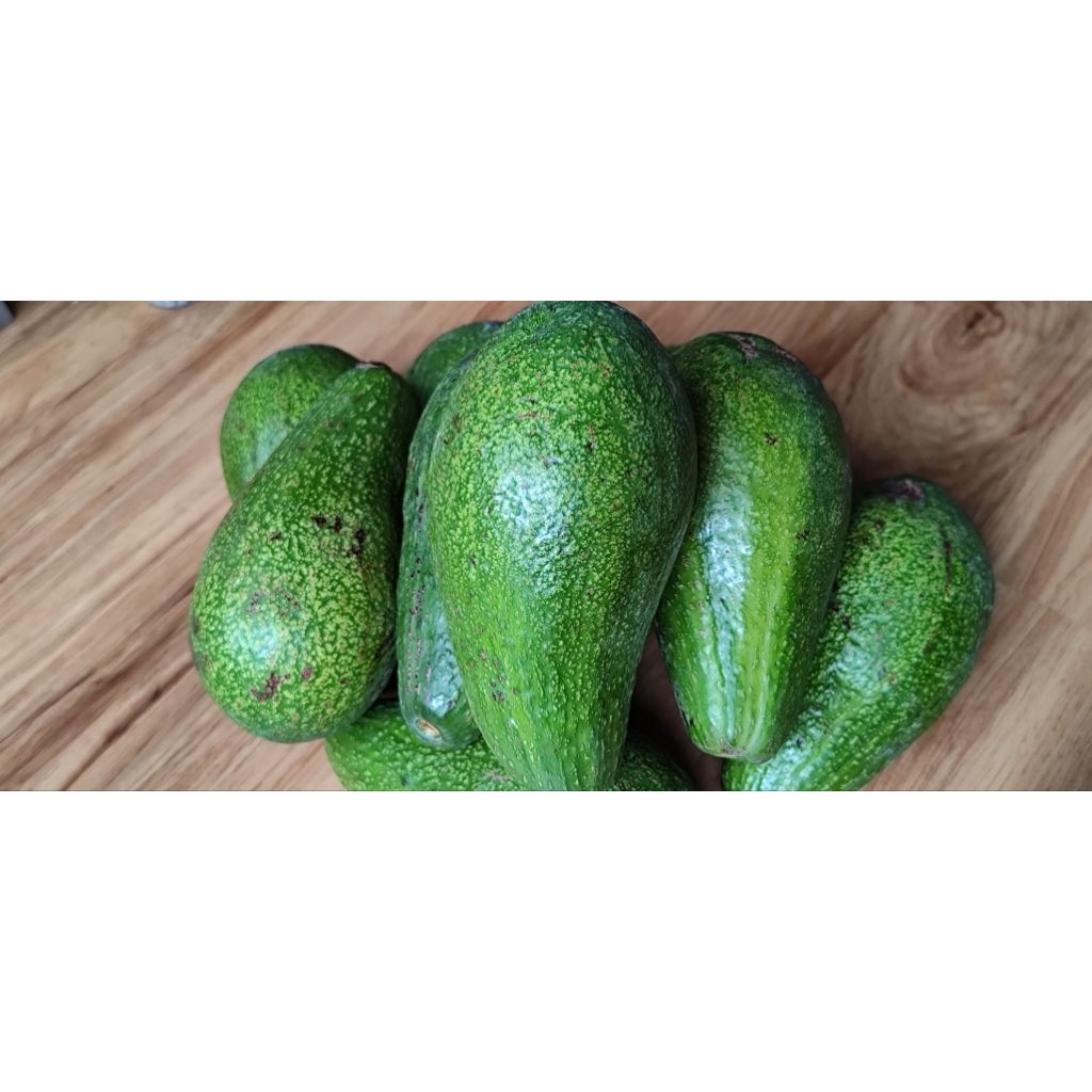 Alpukat mentega 1kg isi 3-4 buah/alpukat/avocado/buah alpukat