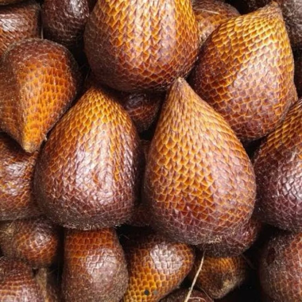 Salak Pondoh Sleman Super 1kg