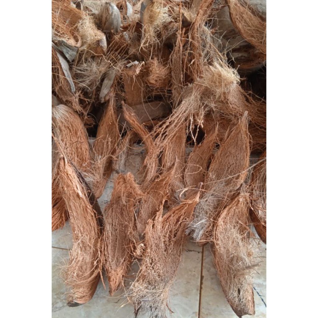 Sabut Kelapa Serabut Kelapa Media tanam Anggrek