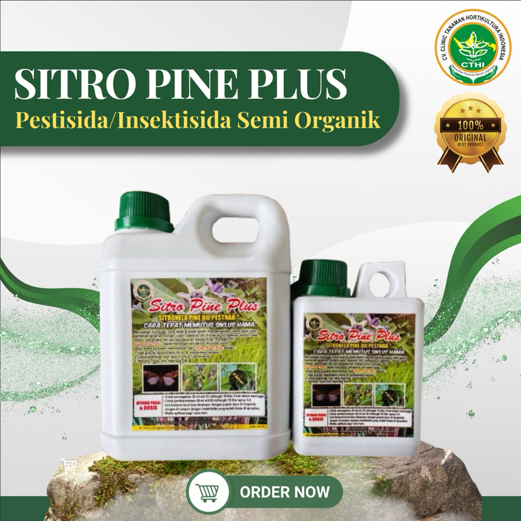 2 SITRO PINE PLUS (SPP CTHI) | Pestisida Nabati Ramah Lingkungan Efektif Mengatasi Hama Ulat Grayak 