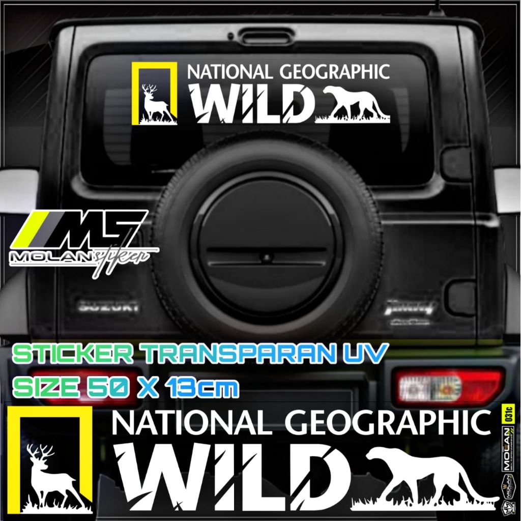Sticker Transparan Uv Kaca Kabin Kap Bak Mobil Nat Geo Wild 50x13 Sticker Universal Semua Mobil Truc