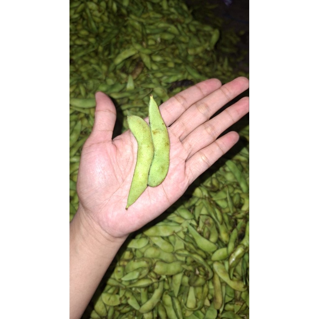 Edamame Fresh 1kg