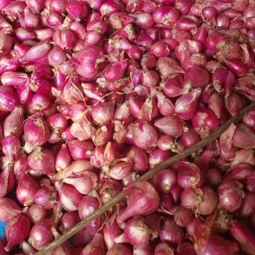 Bawang Merah Brebes 1kg