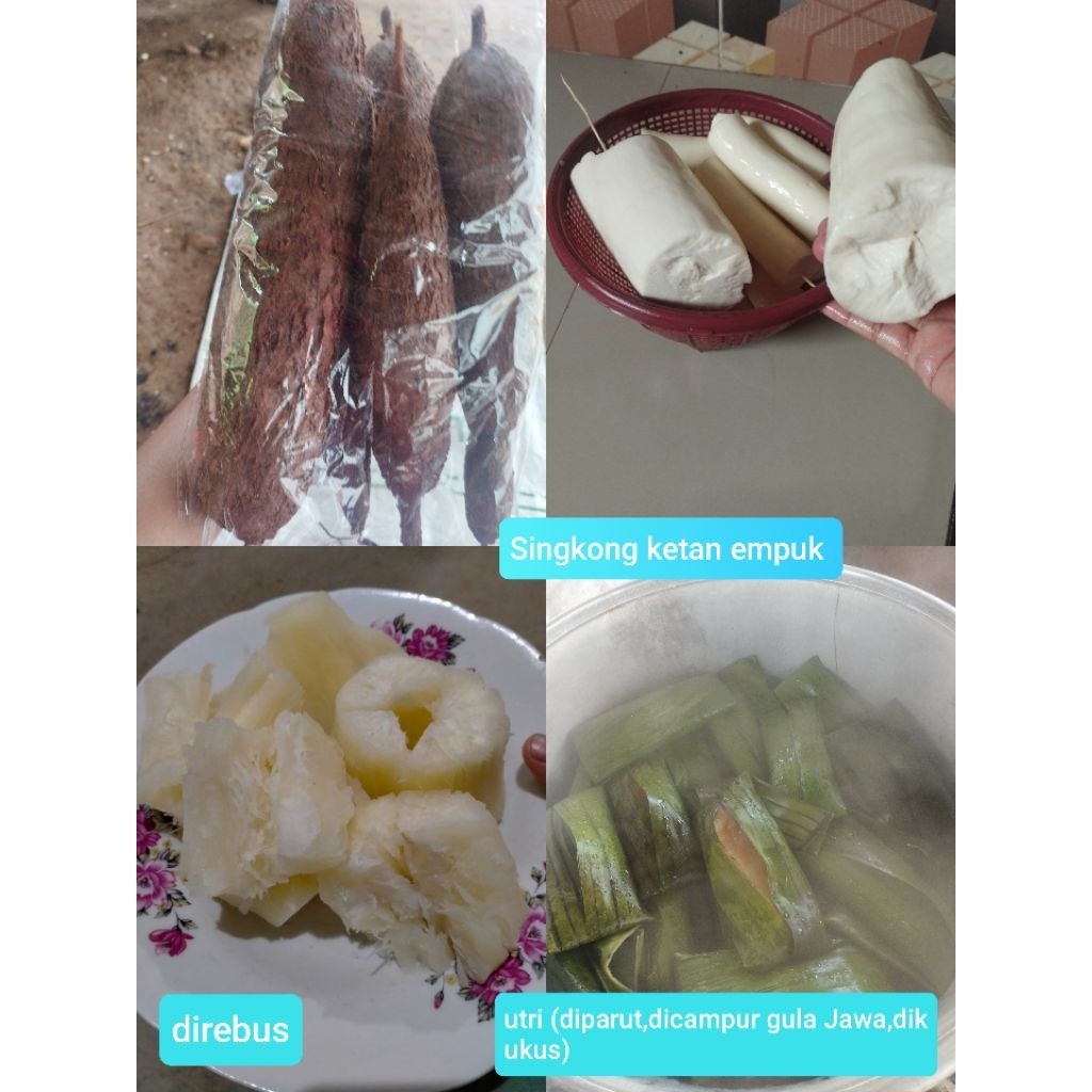 Singkong ketan empuk, Ketela pohog ketan,ubi kayu  asli petani untuk konsumsi