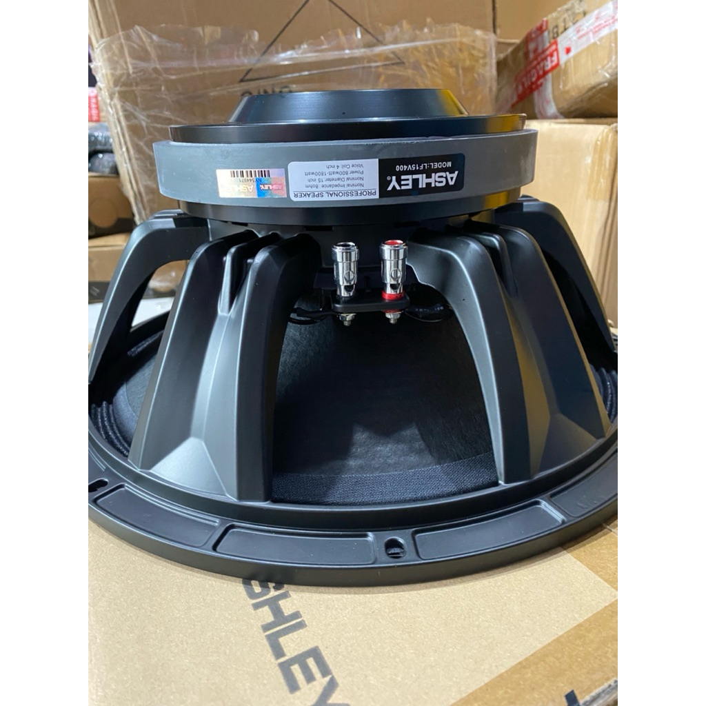 SPEAKER ASHLEY 15 INCH LF15V400