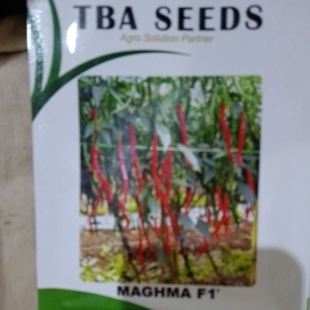 Bibit Cabe MAGHMA F1