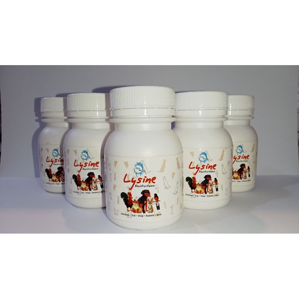 Lysine Multivitamin kucing anjing