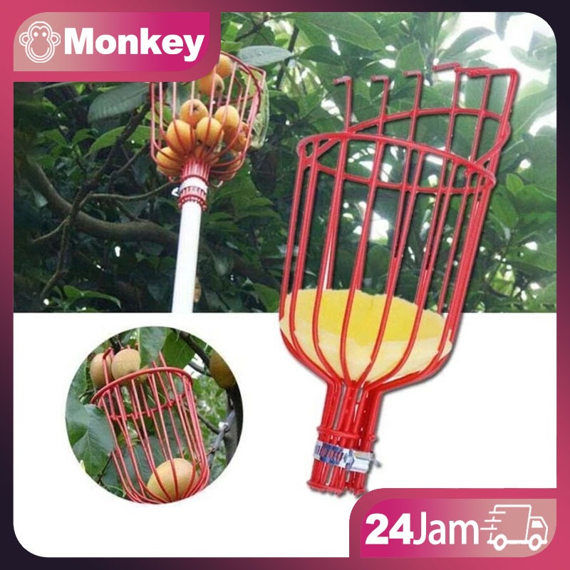 Alat Pemetik Buah Bahan Metal Fruit Picker Alat Pemetik Buah