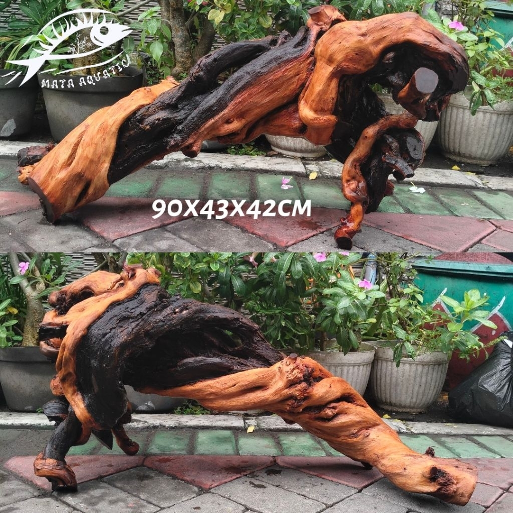 KAYU SANTIGI LAUT GRADE A , SANTIGI, KAYU DEKORASI AQUASCAPE, KAYU DEKORASI HARDSCAPE, KAYU TENGGELA