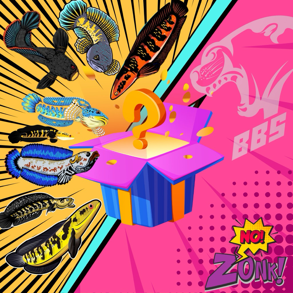 ( ANTI ZONK ) Random mystery box Channa berbonus Sticker