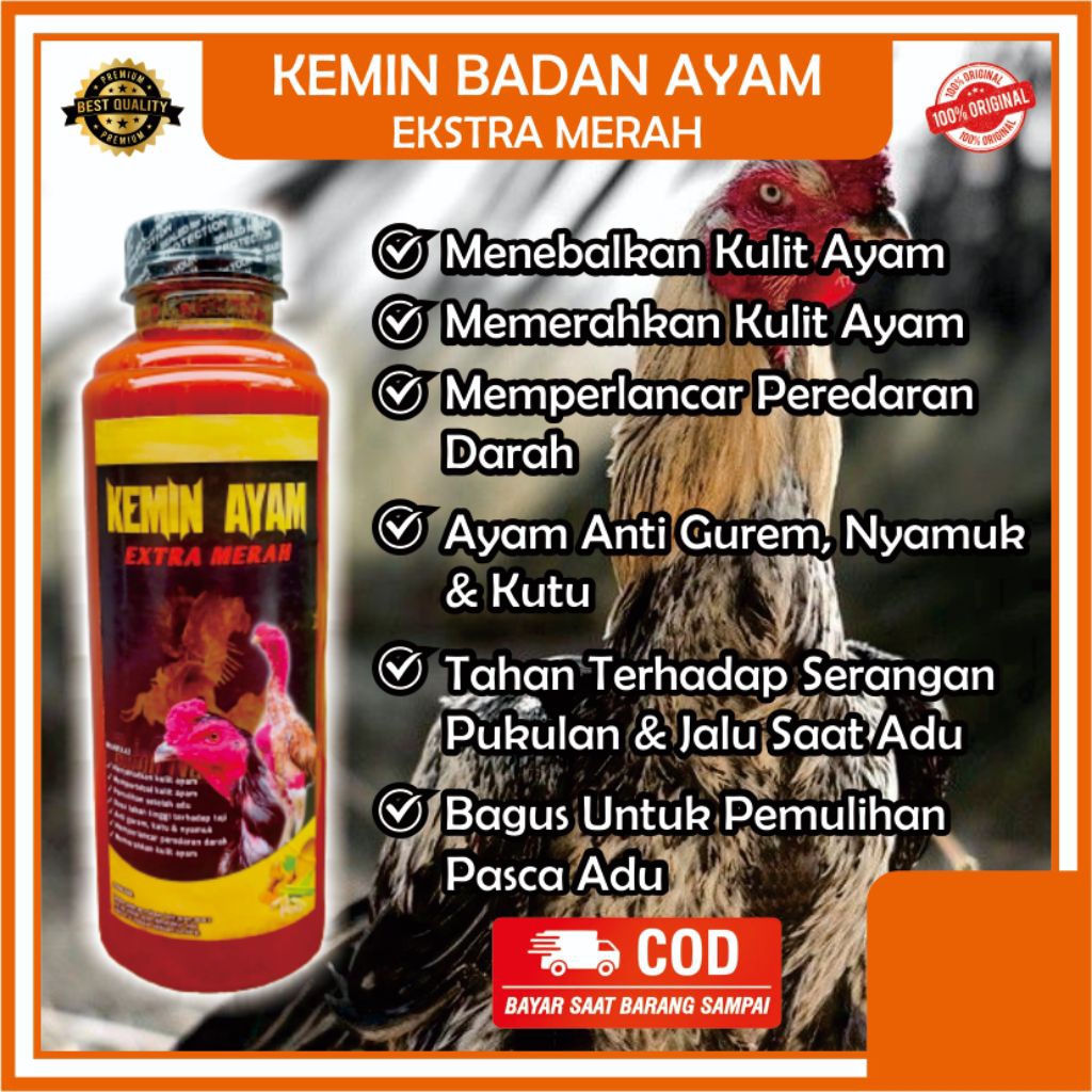 KEMIN BADAN EXTRA MERAH ayam aduan tahan pukul jalu untuk kulit ayam Bangkok tebal