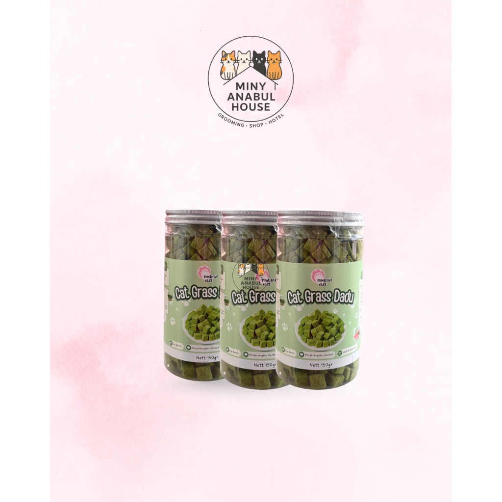 Pawsitive Vibes – Cat Grass Dadu 150gr