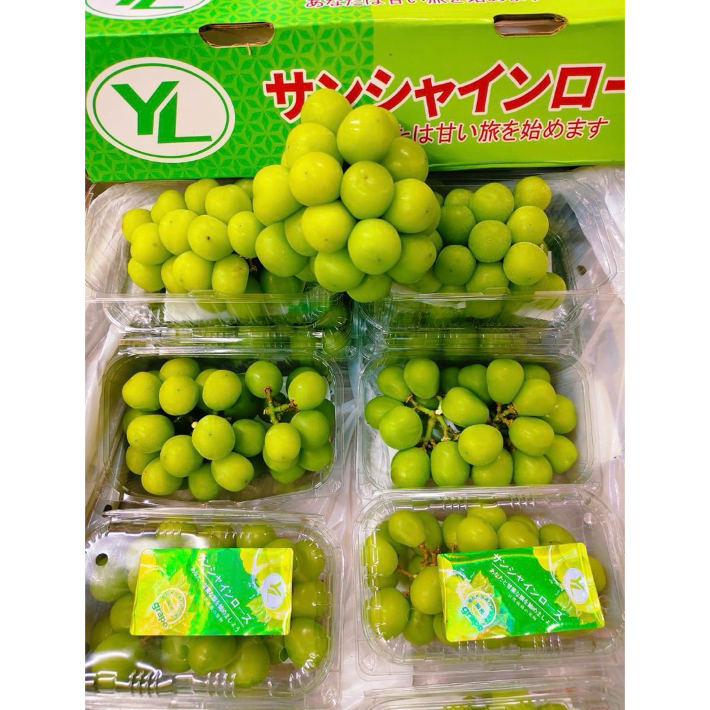 Anggur Shine Muscat Pack - 500gram