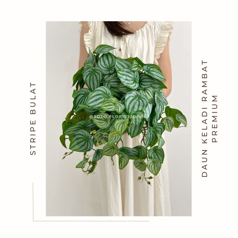[QC] DAUN KELADI RAMBAT PREMIUM Daun Plastik Palsu Artificial Dekorasi ZEBRINA GANTUNG Bunch Daun Wi