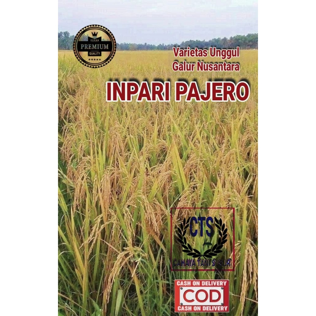 Inpari Pajero Benih Padi Unggul (1kg)