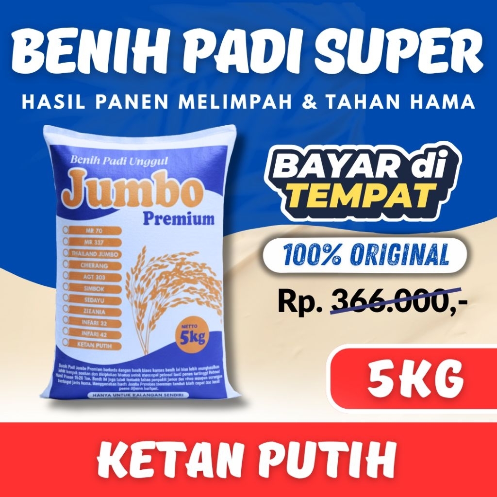 Bibit Padi Unggul Ketan Putih 5kg
