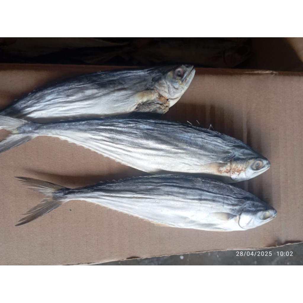Ikan asin wais / tenggiri ;1kg