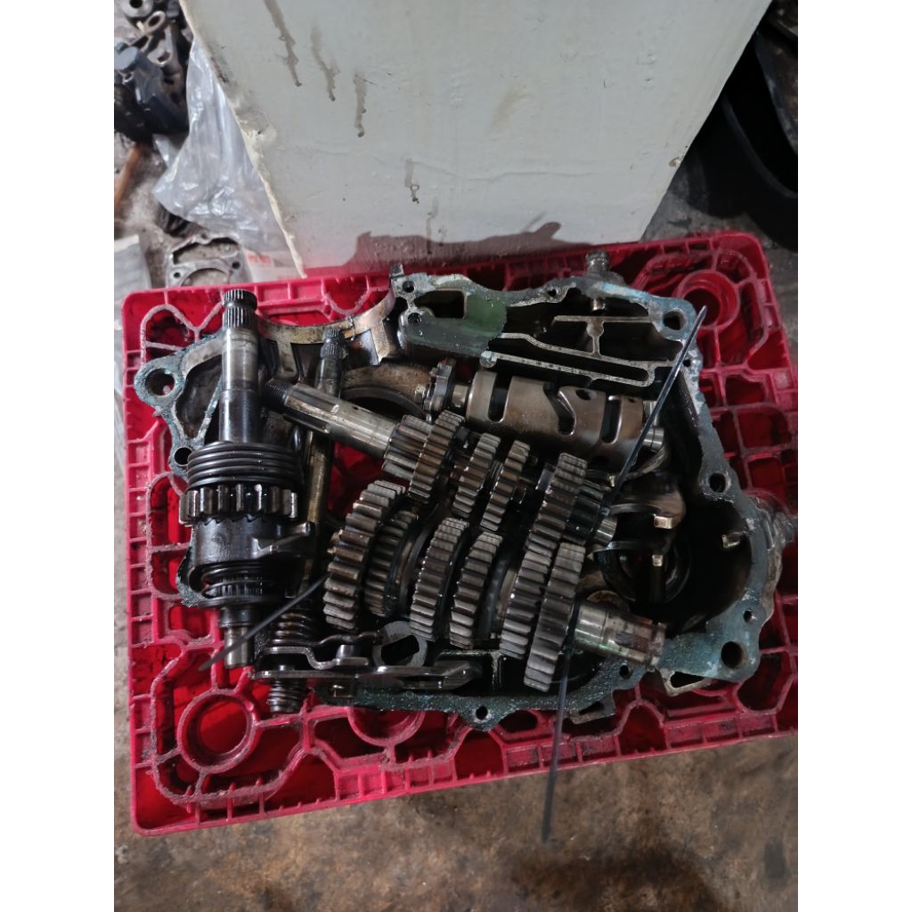 rasio tiger revo set