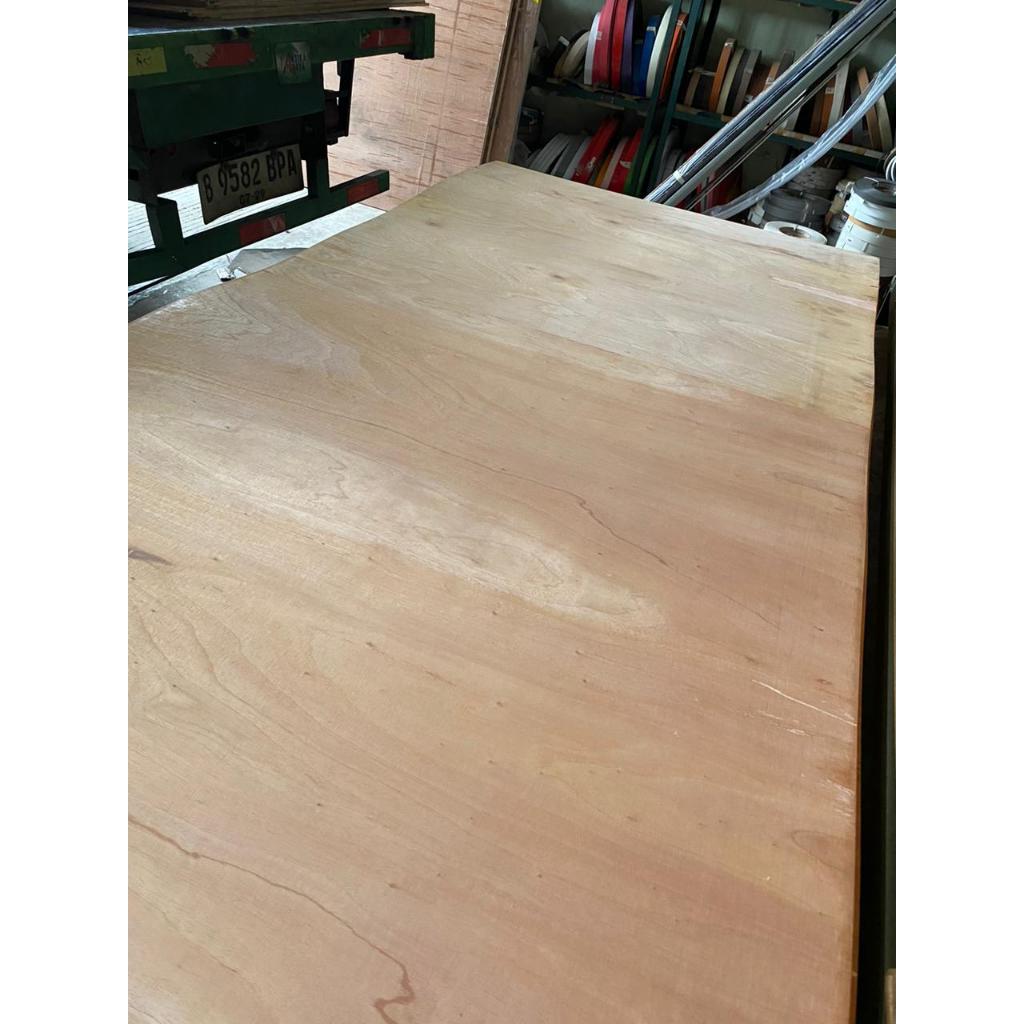 (BACA DESKRIPSI) Triplek Bending | Plywood Lengkung 5mm & 9mm