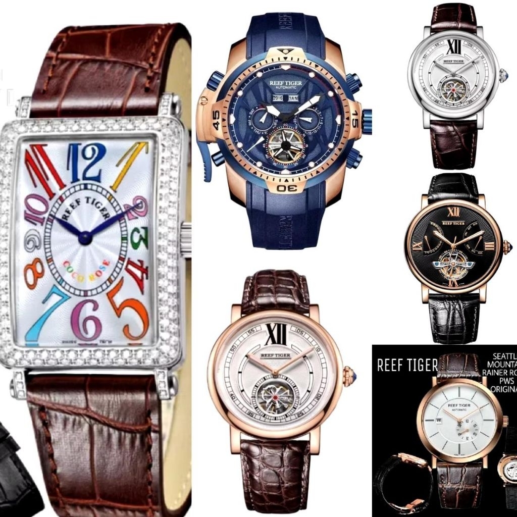 Jam Tangan Pria Original  REEF TIGER AUTOMATIC AURORA RGA--3532