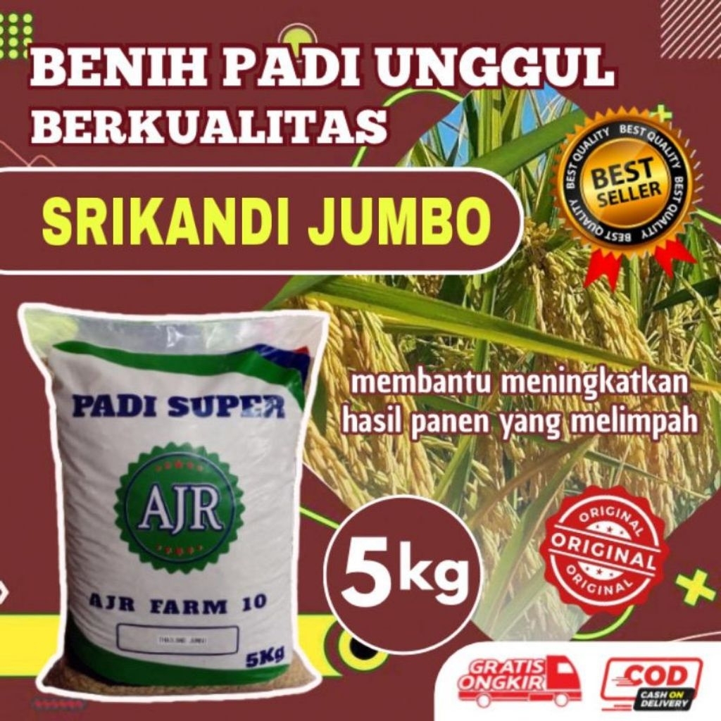 Benih padi unggul Srikandi jumbo 5kg original