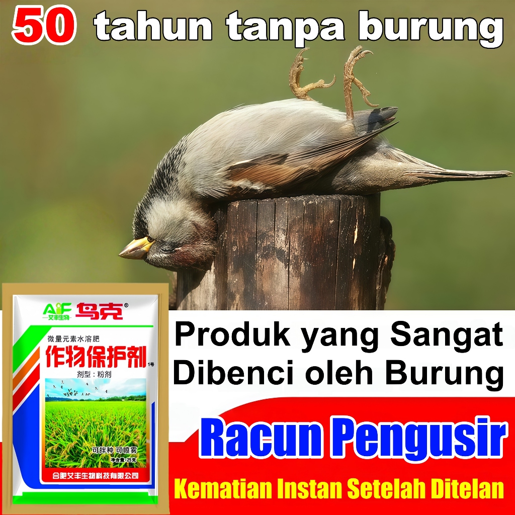 Jebakan burung racun perangkap pengusir burung di sawah /tikus/pipit/dara/sriti jerat trap burung ot