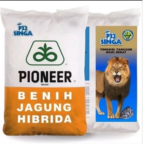 Benih Jagung p32 singa 1kg