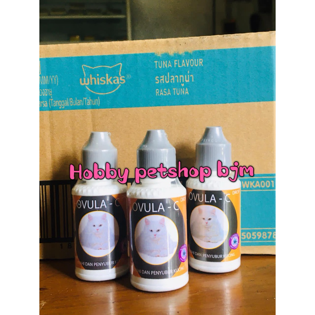 Ovula-c kucing birahi / Ovula c cat drop - obat birahi kucing / penyubur kucing birahi