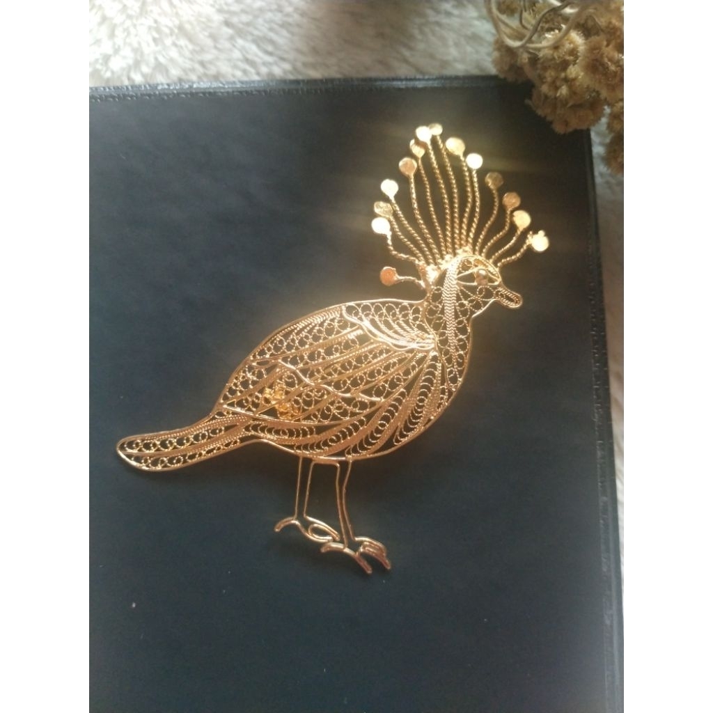 bros  burung mambruk papua