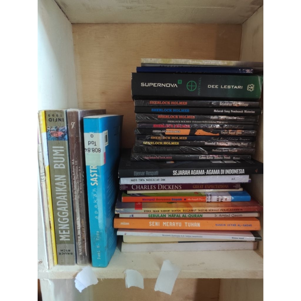 Dee Lestari Partikel