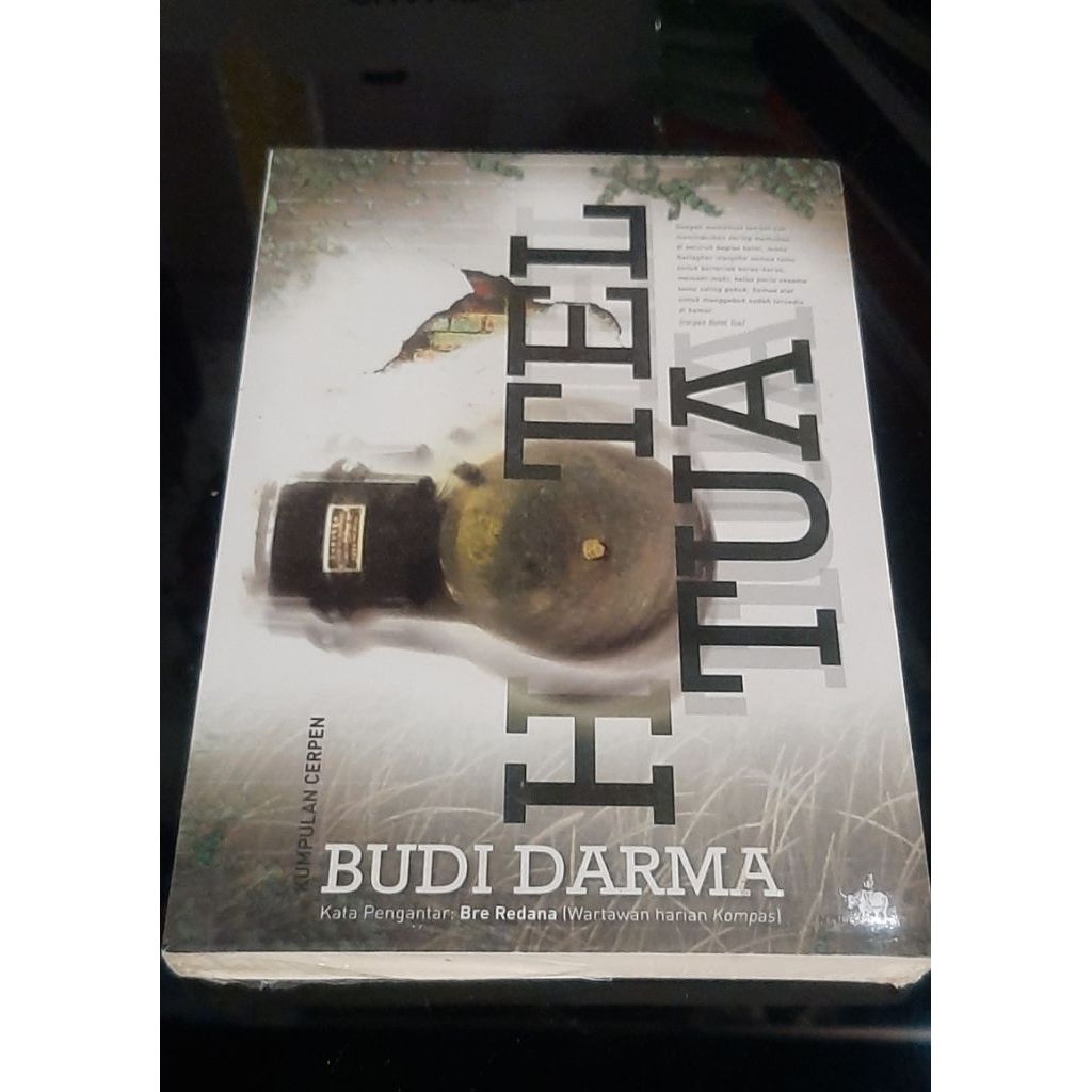 NOVEL - BUDI DARMA
