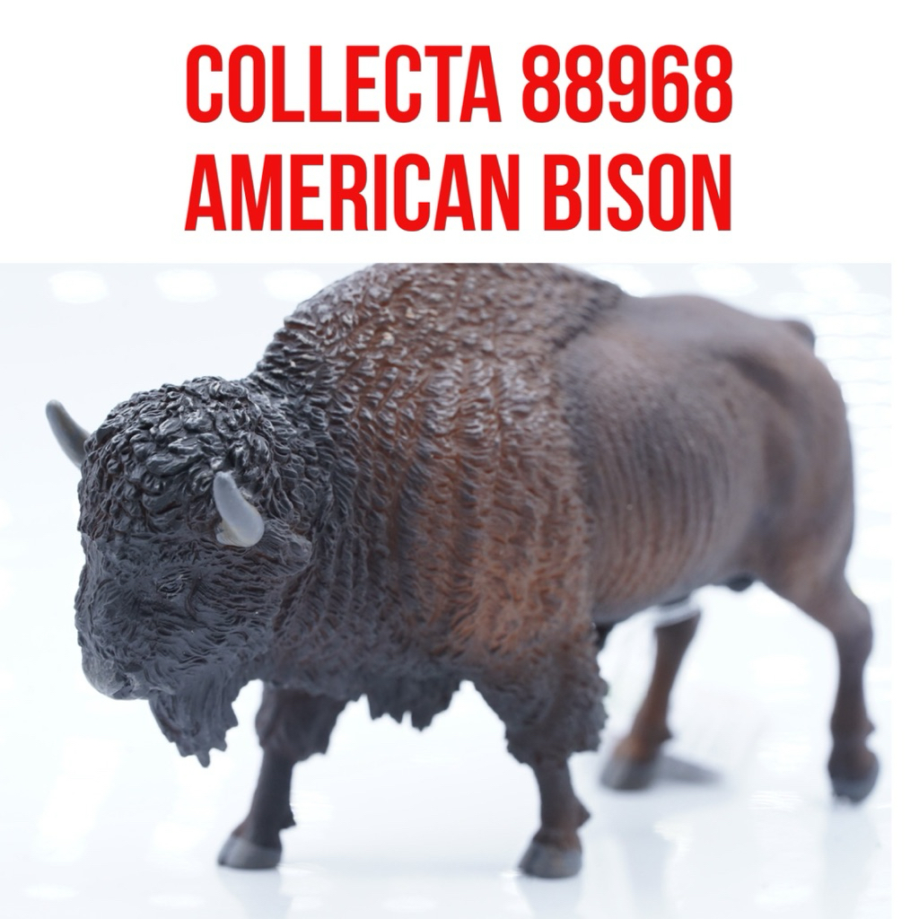 Collecta 88968 | American Bison Buffalo Kerbau Amerika Bovidae  | Mainan Figure Binatang Miniature H